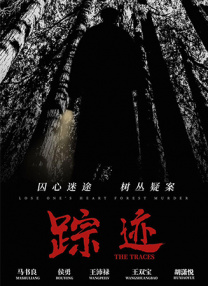 国产色婷婷精品综合在线观看